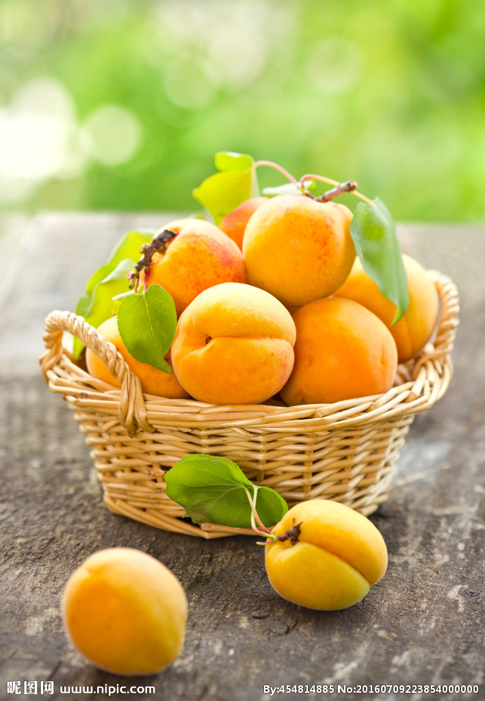 首页- 南宫NG28国际集团官方网站