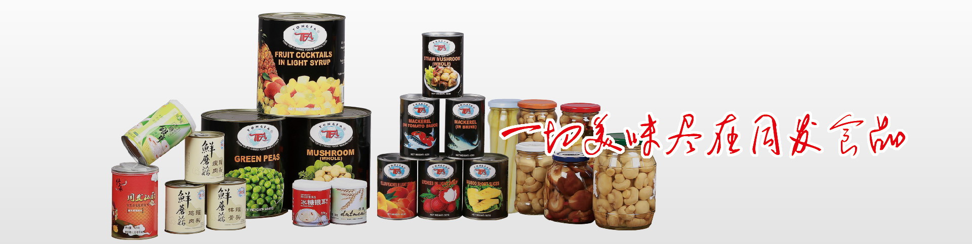 首页- 南宫NG28国际集团官方网站