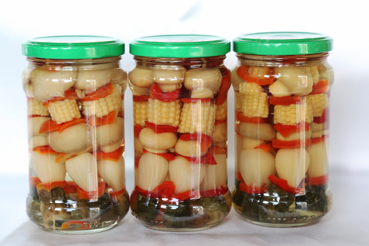 首页- 南宫NG28国际集团官方网站