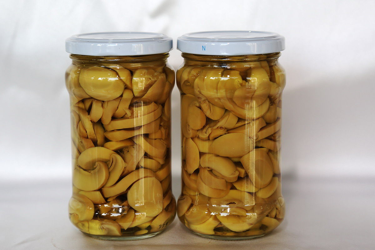 首页- 南宫NG28国际集团官方网站