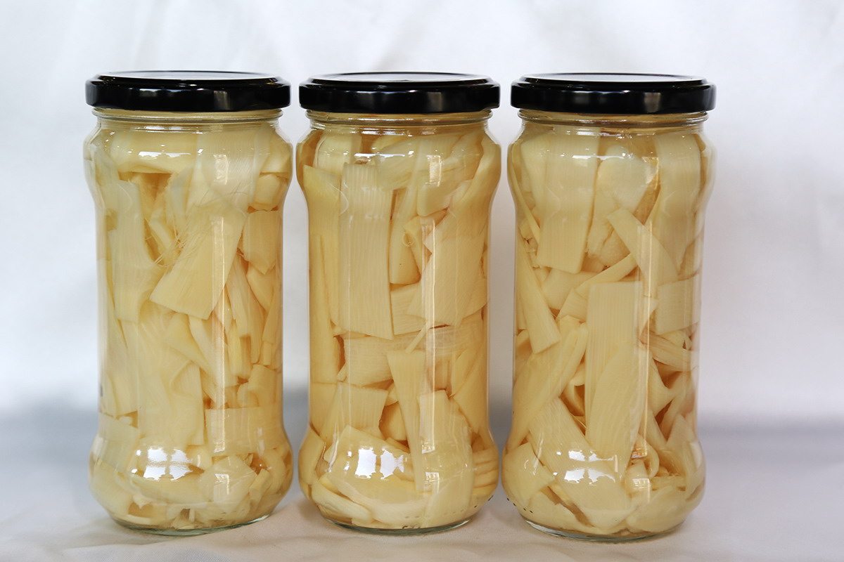 首页- 南宫NG28国际集团官方网站