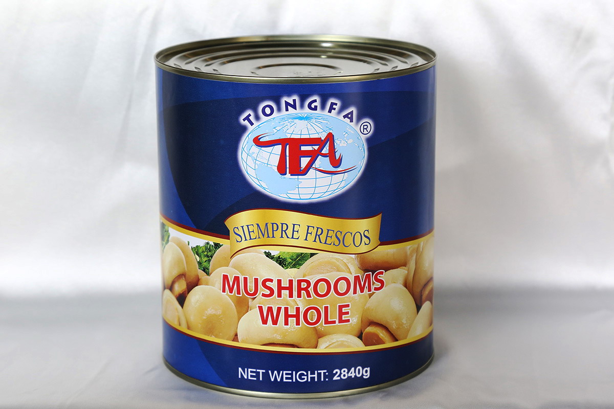 首页- 南宫NG28国际集团官方网站